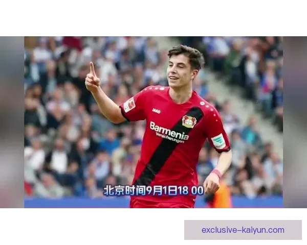 德甲豪门转会政策