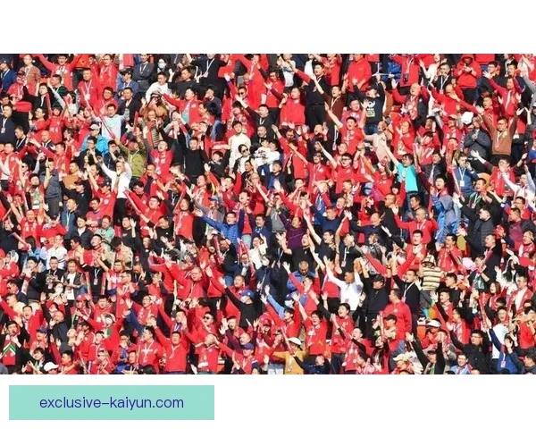 斯洛伐克球迷热情支持国家队,展现团结与激情的状态回暖 斯洛伐克球迷热情支持国家队,展现团结与激情的状态回暖